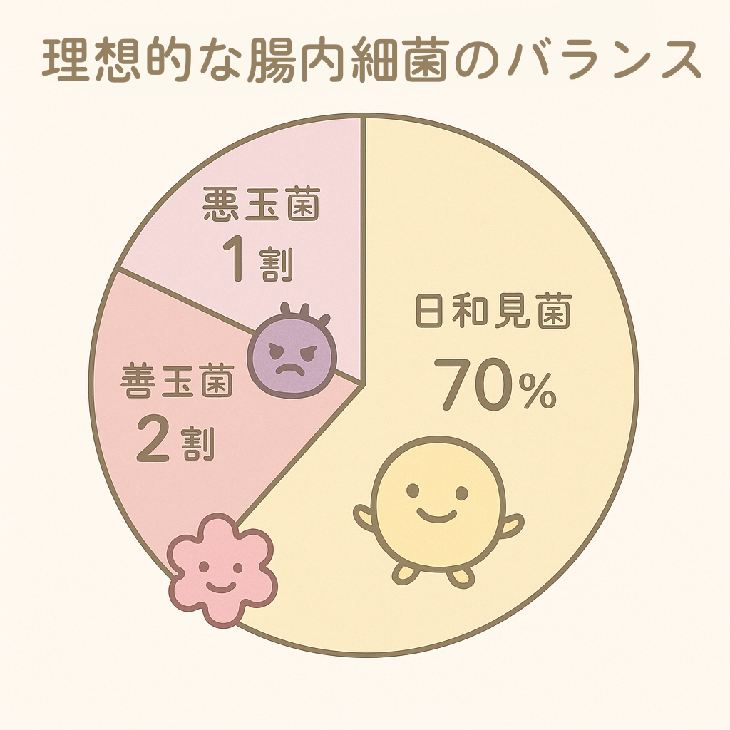 腸内細菌のバランス